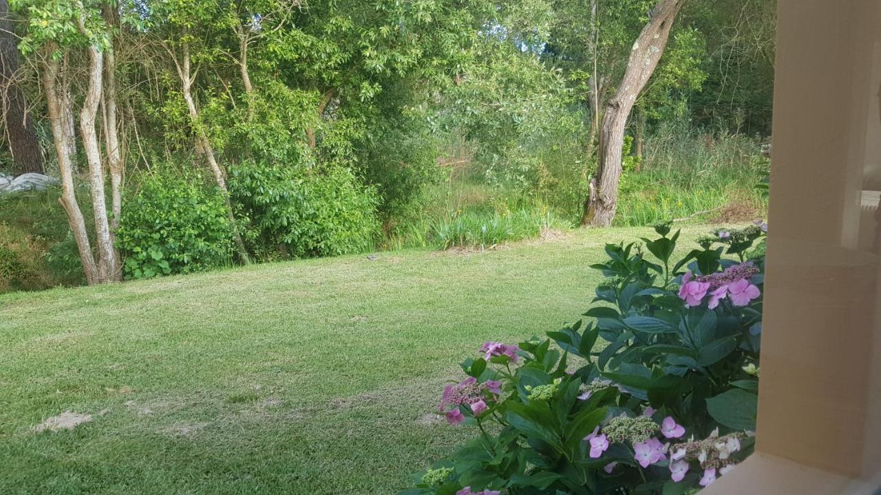Casa da Mata Villa Praia de Mira Bagian luar foto