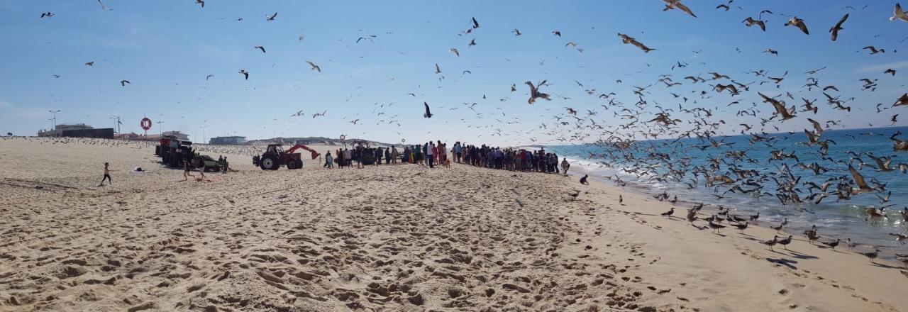 Casa da Mata Villa Praia de Mira Bagian luar foto