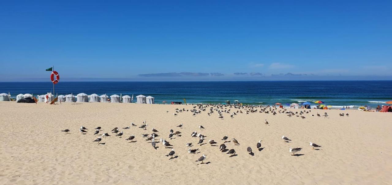 Casa da Mata Villa Praia de Mira Bagian luar foto