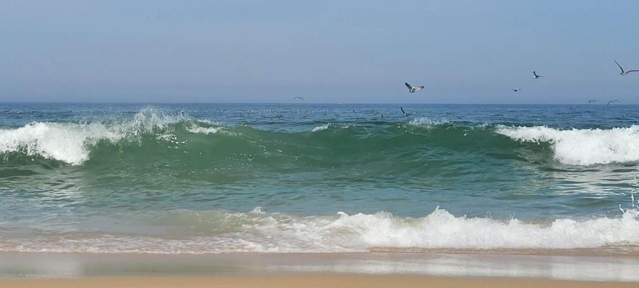 Casa da Mata Villa Praia de Mira Bagian luar foto