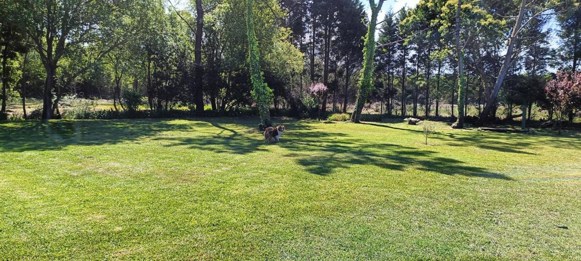 Casa da Mata Villa Praia de Mira Bagian luar foto