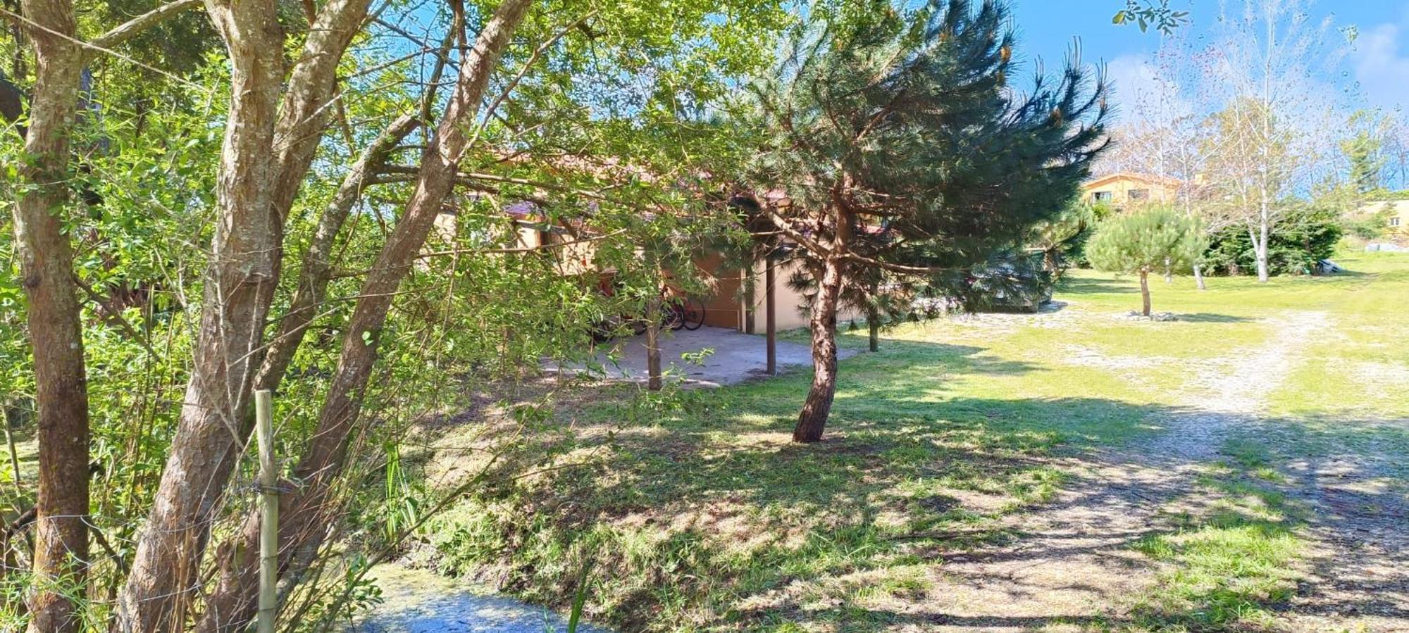 Casa da Mata Villa Praia de Mira Bagian luar foto